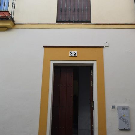 Lira Donkey Apartment Sevilla Bagian luar foto